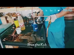 Componenti per stoccaggio a freddo elettromagnetico Pompa a vuoto multistadio di valore