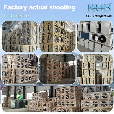 DL series DL22 unit cooler CE certification customized air cooler 3HP cold storage evaporator ceiling evaporator, suitable for warehouse refrigeration, cold storage chamber，vegetables cold storage