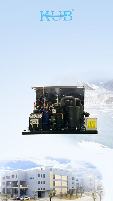 TAG2516Z Tecumseh compressore unità di refrigerazione frigorifero unità r404a unità di condensazione per camminare in camera frigorifera