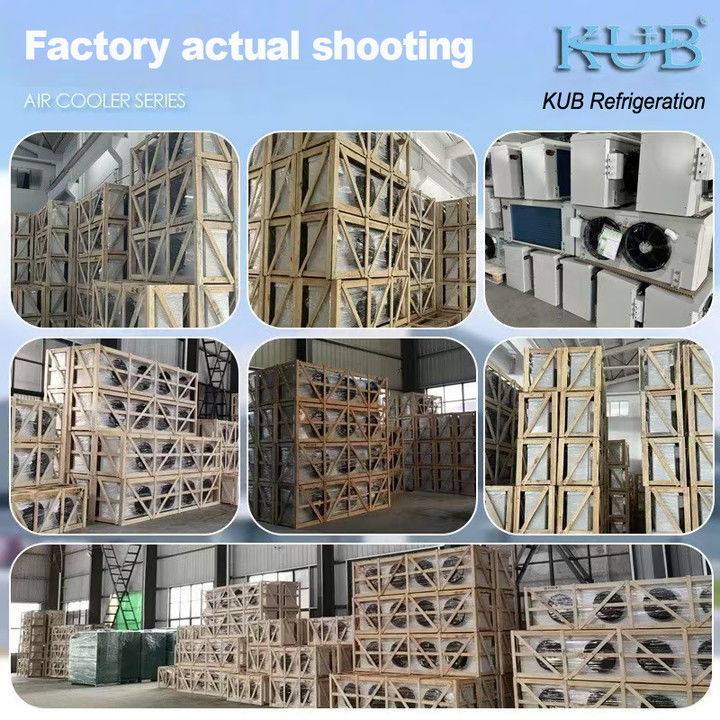 Produttore di apparecchiature di refrigerazione, fabbrica di refrigerazione, impianto di refrigerazione refrigerato