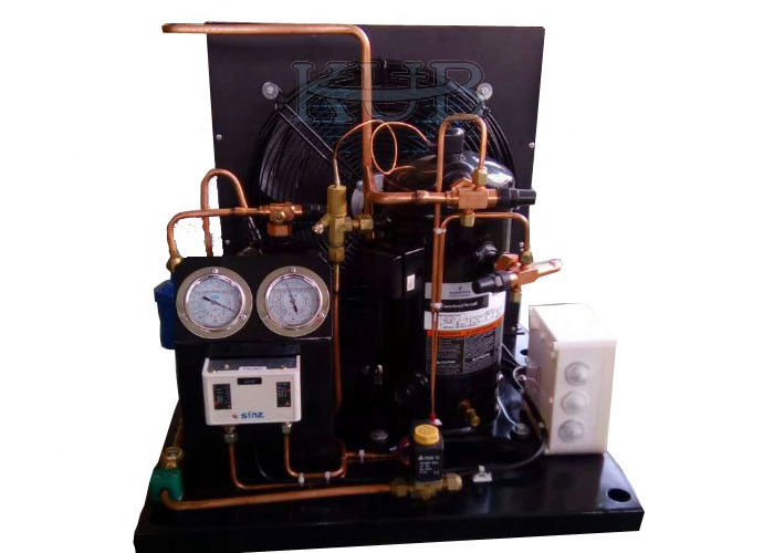 KUB FH22 ZB21L ZB21KQE unità di condensazione del congelatore rapido Tipo di unità di condensazione del raffreddatore d'aria