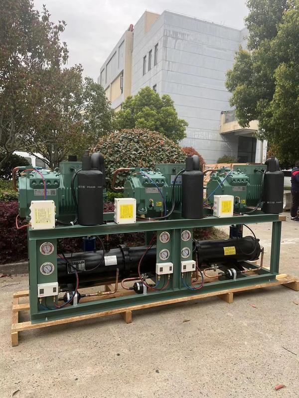 Unità di condensazione raffreddata ad acqua da 10 HP*3 cavalli con 380V 3PH 50Hz e 1 anno di garanzia