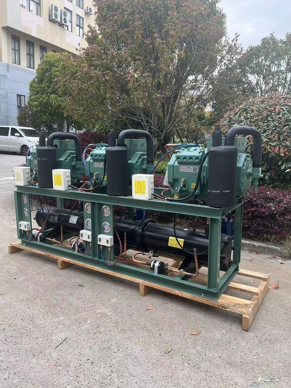 Unità di condensazione raffreddata ad acqua da 10 HP*3 cavalli con 380V 3PH 50Hz e 1 anno di garanzia