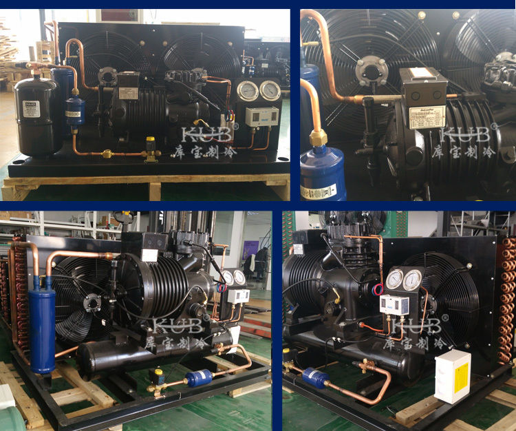 BFS51 Sala fredda affidabile Compressore semi-ermetico Unità di condensazione Serbatoio a freddo