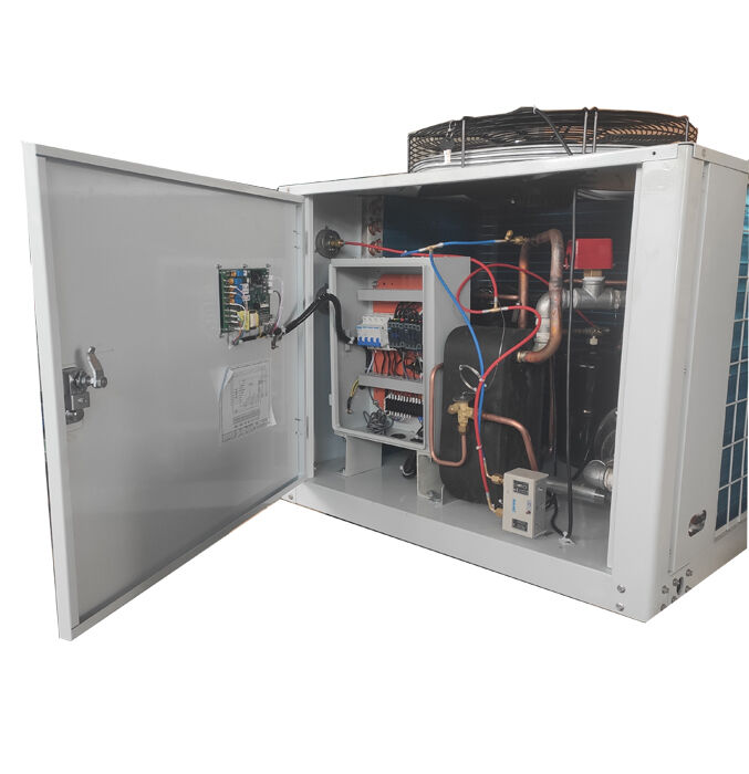 Chiller raffreddato ad aria a compressione ermetica da 5 CV con refrigerante R22/R404A e garanzia di 1 anno