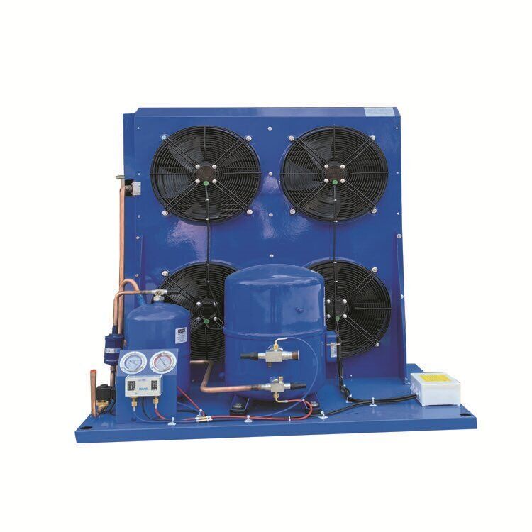 Chiller industriale con compressore da 12 CV R22/R404A refrigerante e unità di condensazione raffreddata ad aria con garanzia di 1 anno