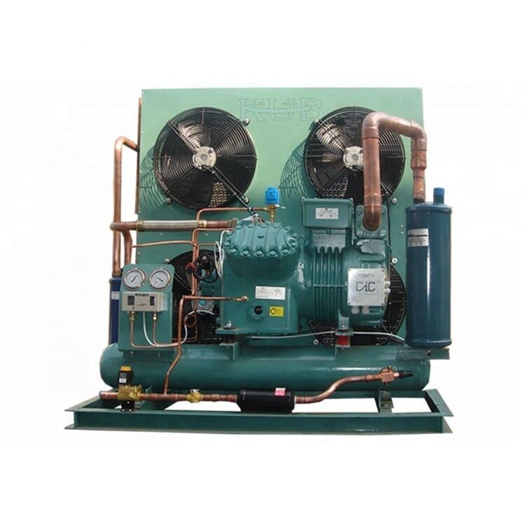 20 CV Compressore a pistoni R22 senza olio per frigorifero
