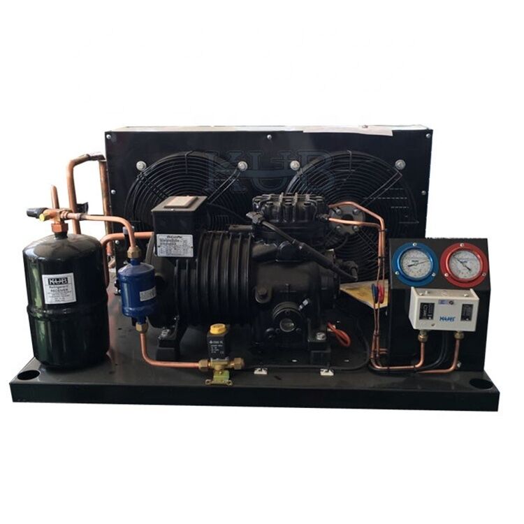 BFS31 3HP Compressore a pistoni semi-ermetico a due cilindri per refrigerante R22 in sistemi di refrigerazione