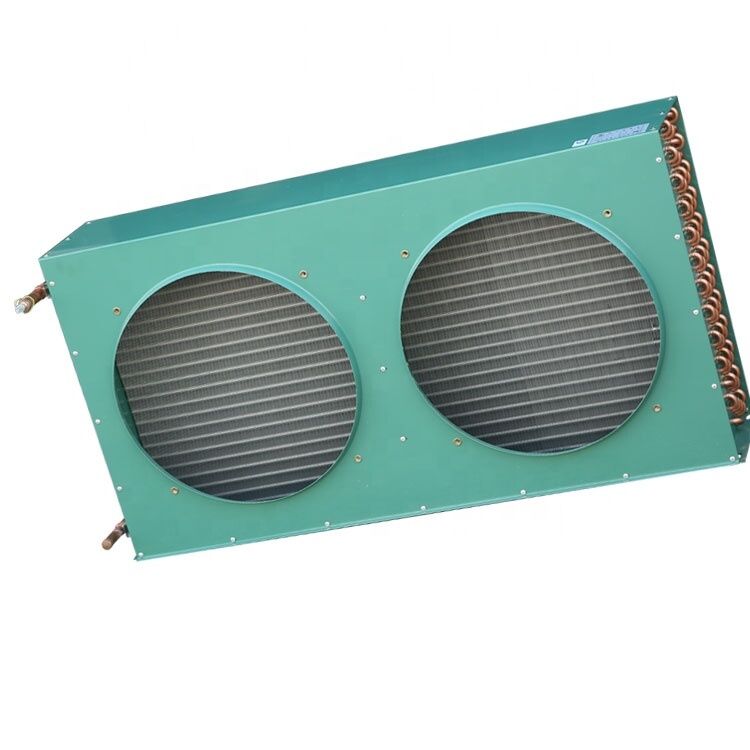 FNH-17/60 FNH Series Unità di condensazione per celle frigorifere Condensatore ad alta qualità raffreddato ad aria