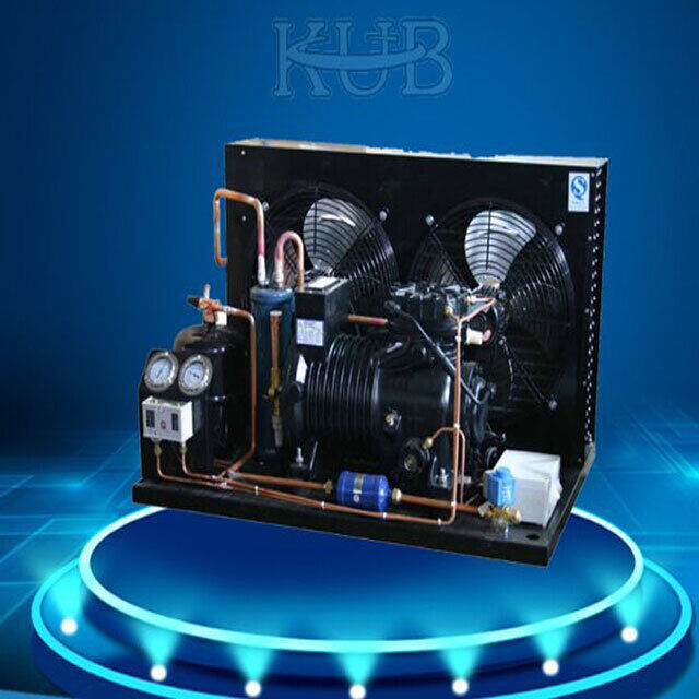 BFS81 Reliable Cold Room Semi-hermetic Compressor Condensing Unit Cold Storage Refrigeration Unit Easy to Operate