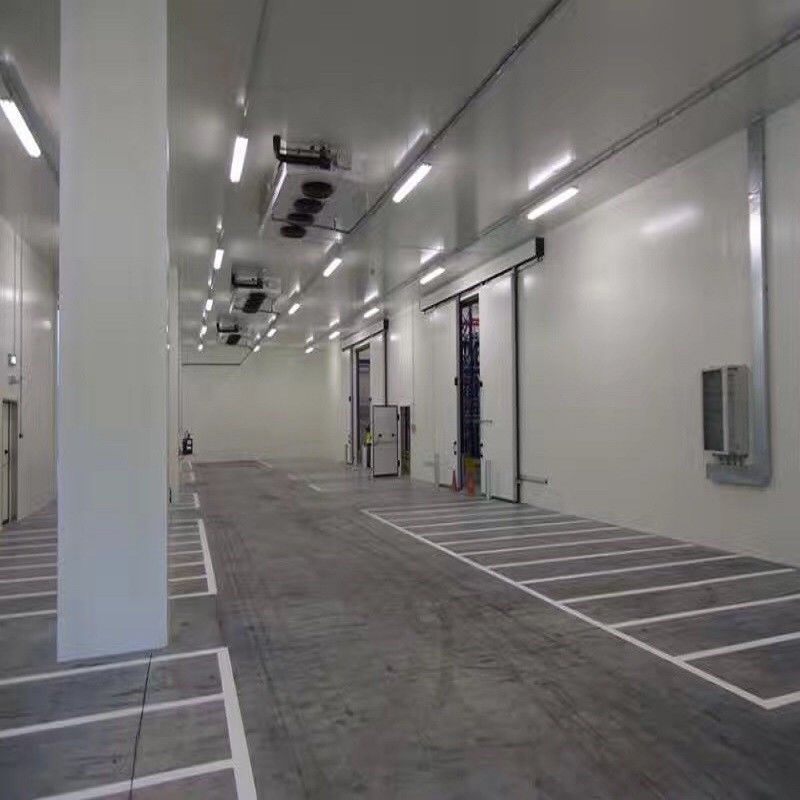 Nuova stanza di conservazione frigorifera per il dispositivo di raffreddamento di aria di verdure della cella frigorifera del beaf della patata della carne