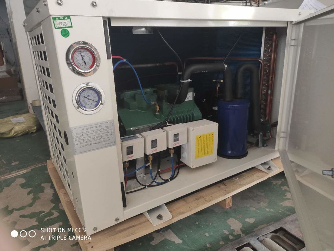 tipo unità di condensazione ermetica di 3hp R404A U dei semi per la cella frigorifera di conservazione frigorifera del refrigeratore