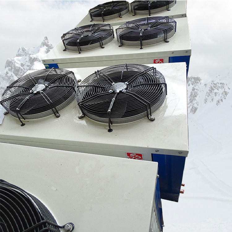 L'aria 30HP ha raffreddato l'unità di refrigerazione a forma di scatola di condensazione delle unità