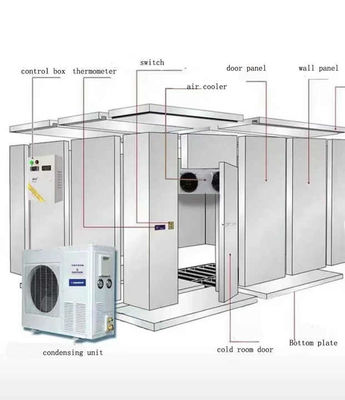 Trasformazione di container frigoriferi americani in celle frigorifere modulari mini con isolamento da 100mm